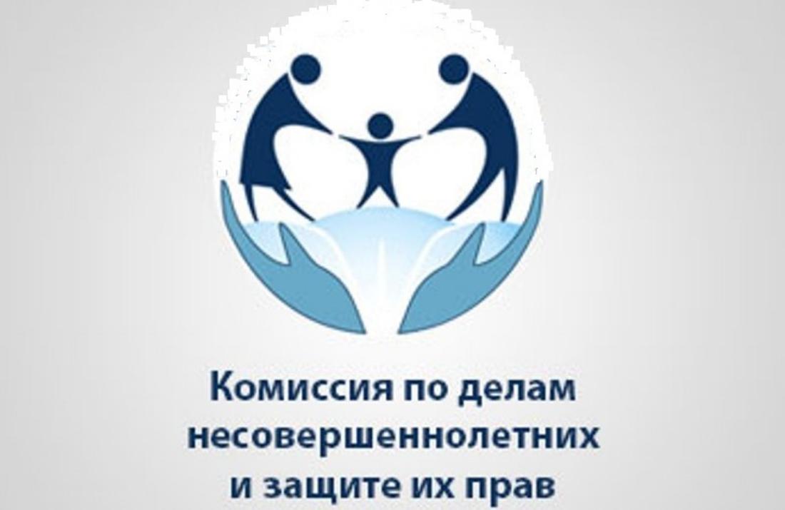 Основные задачи и функции  КДН и ЗП.