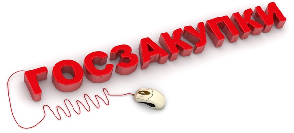 Прокуратура Лысогорского района разъясняет: Участие физических лиц в закупках для государственных и муниципальных нужд.