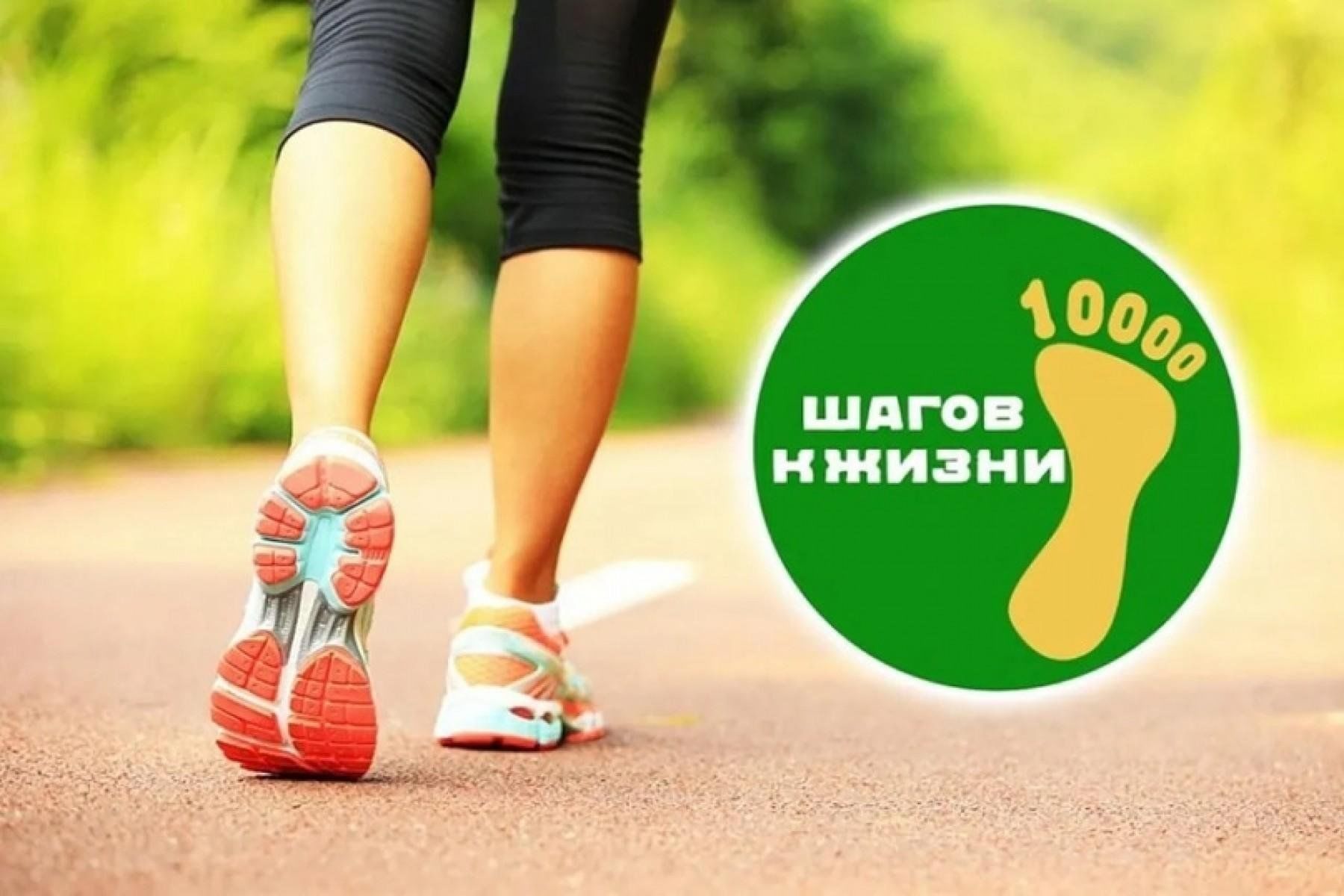Приглашаем жителей Лысогорского района принять участие в акции &quot;10 000 шагов к жизни&quot;.