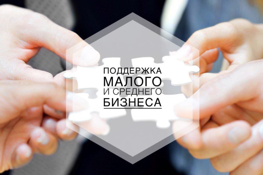 Сфера поддержки и развития малого и среднего предпринимательства.