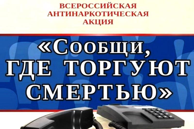 В Лысогорском районе стартовала профилактическая акция «Сообщи, где торгуют смертью».