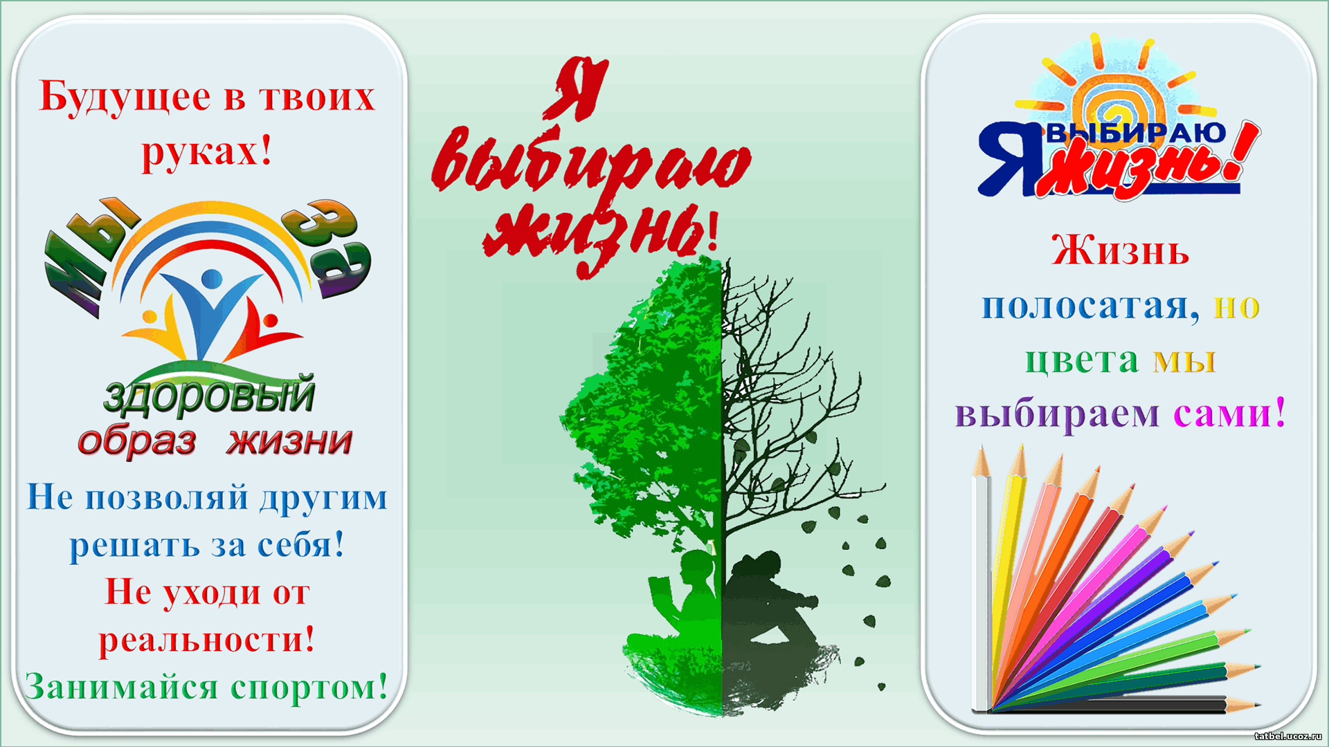 Изображения.