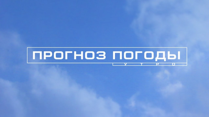 ОПЕРАТИВНЫЙ ЕЖЕДНЕВНЫЙ ПРОГНОЗ НА 29 ИЮНЯ.