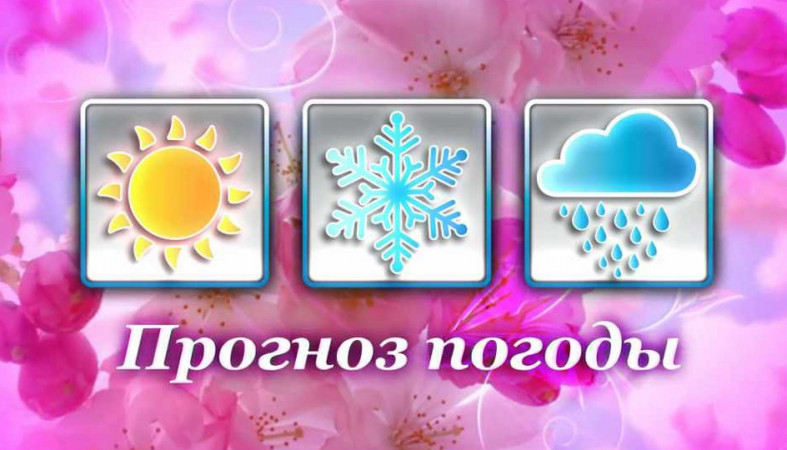 ОПЕРАТИВНЫЙ ЕЖЕДНЕВНЫЙ ПРОГНОЗ.