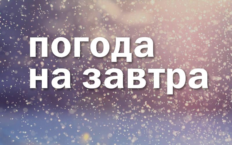 Оперативный прогноз на 14 января 2025 года.