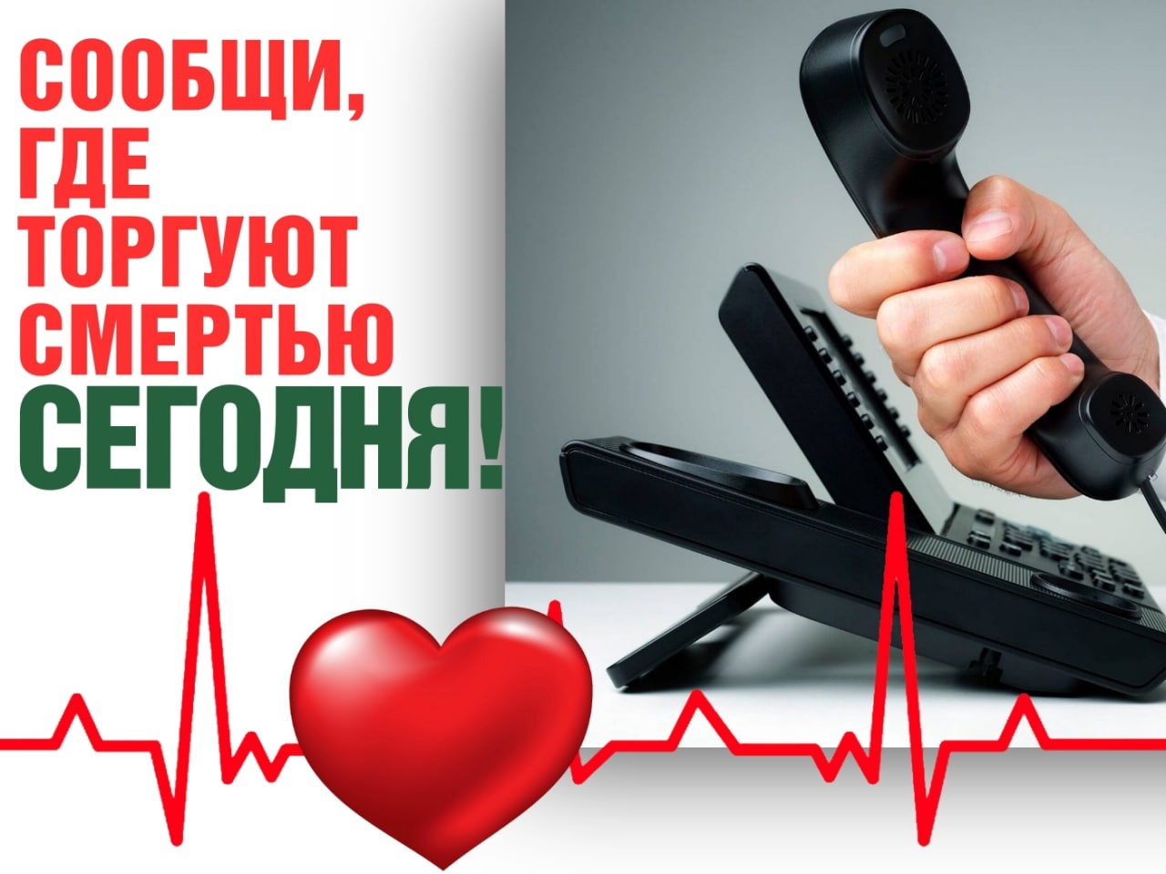 На территории Саратовской области проходит Общероссийская акция «Сообщи, где торгуют смертью».