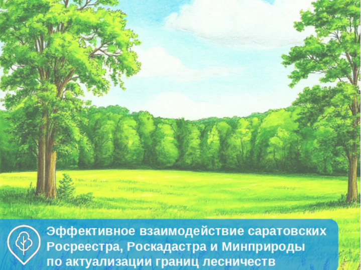 Эффективное взаимодействие саратовских Росреестра, Роскадастра и Минприроды по актуализации границ лесничеств..