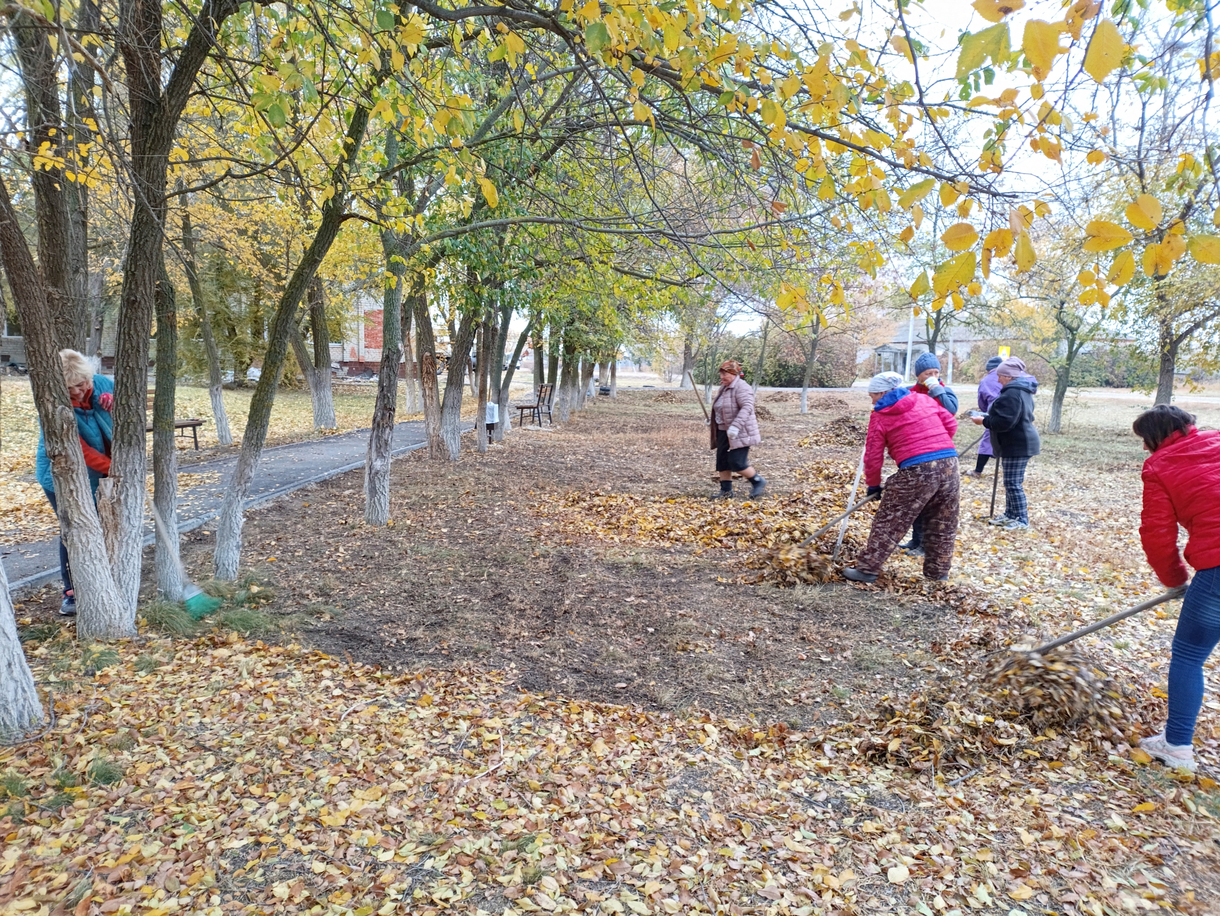 В Большой Дмитриевке на субботнике привели в порядок общественные территории.
