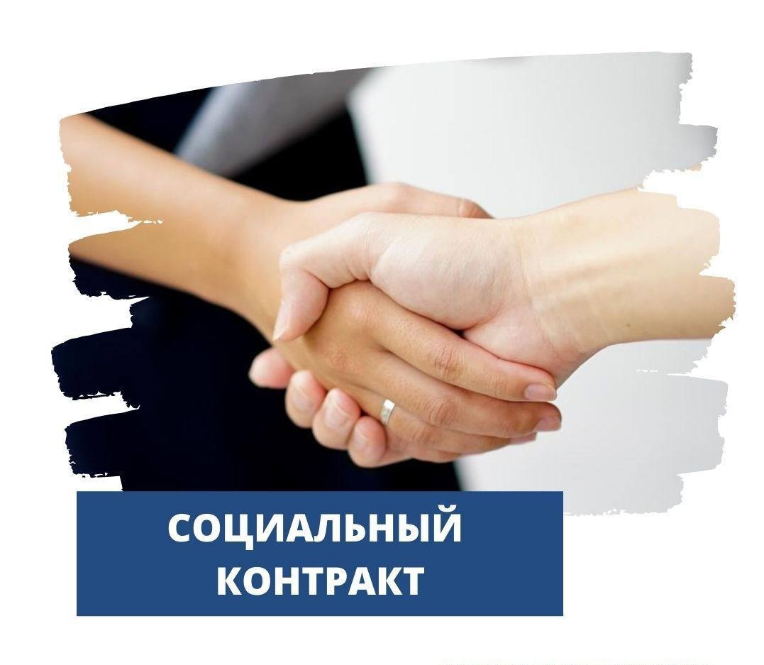 В 2024 году с жителями Лысогорского района заключено 25 социальных контрактов.