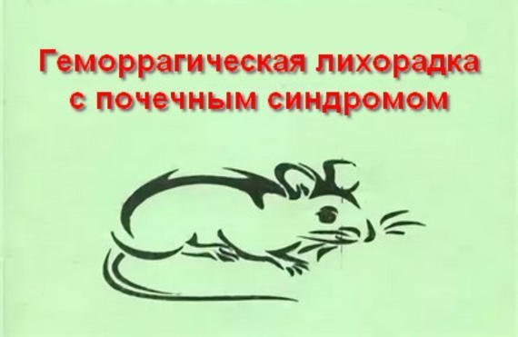 Геморрагическая лихорадка с почечным синдромом (ГЛПС) – тяжелое, смертельно опасное инфекционное заболевание с поражением мелких кровеносных сосудов, почек, легких и других органов человека.