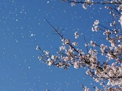 Прогноз погоды на 25 апреля.
