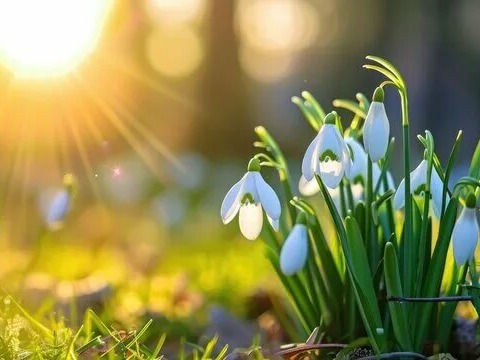 Прогноз погоды на 16 апреля.
