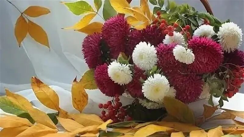 Прогноз погоды на 20 ноября.
