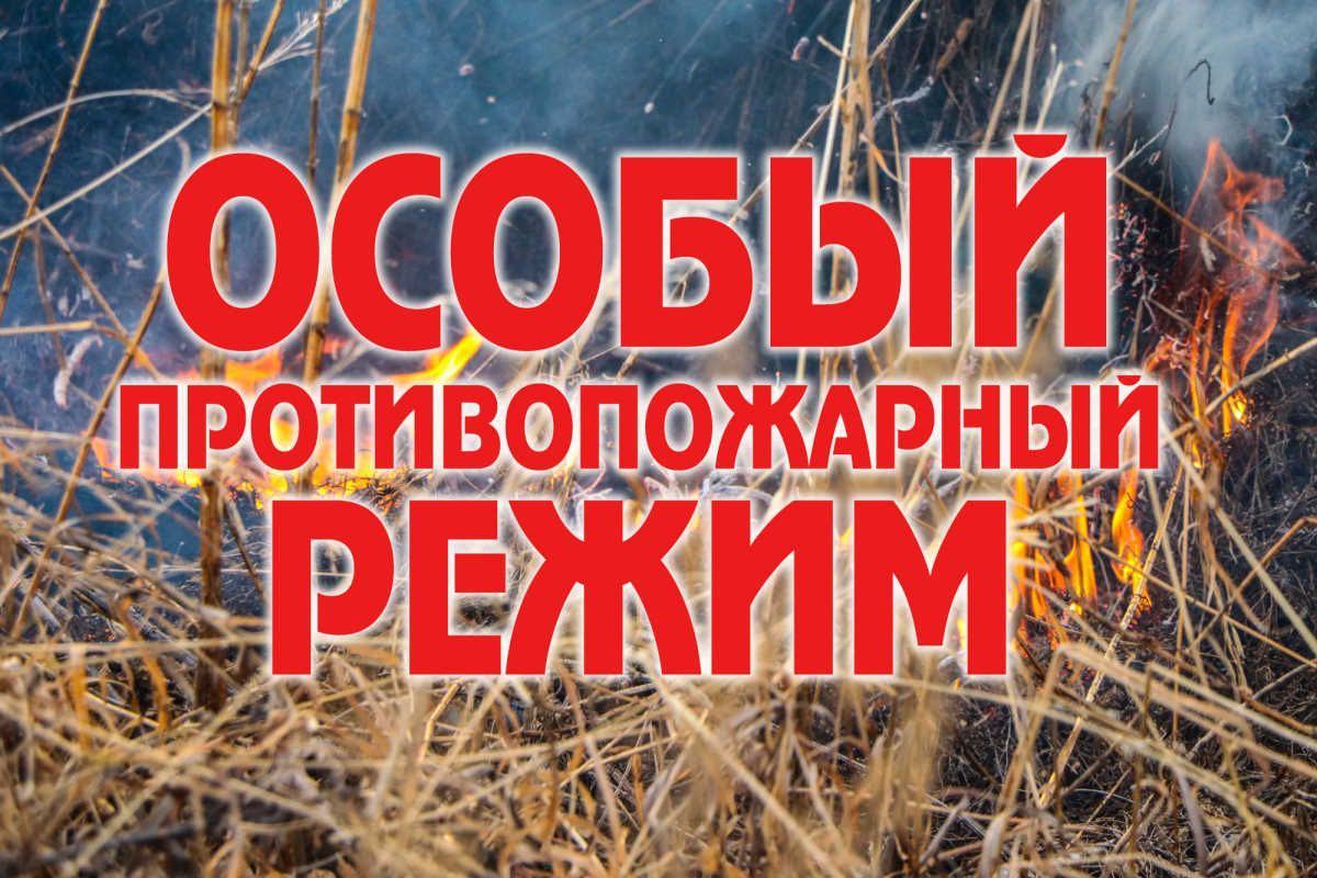 В регионе введён особый противопожарный режим.