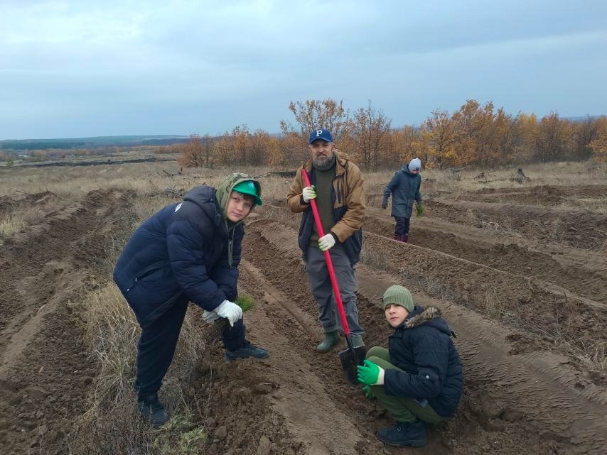 В Лысогорском районе высадили 4000 сеянцев сосны.