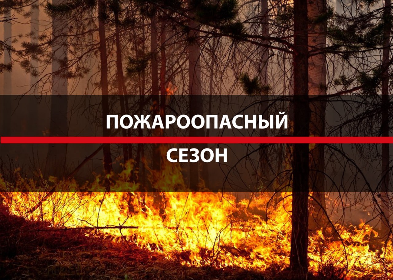 С сегодняшнего дня в Лысогорском районе действует пожароопасный сезон.