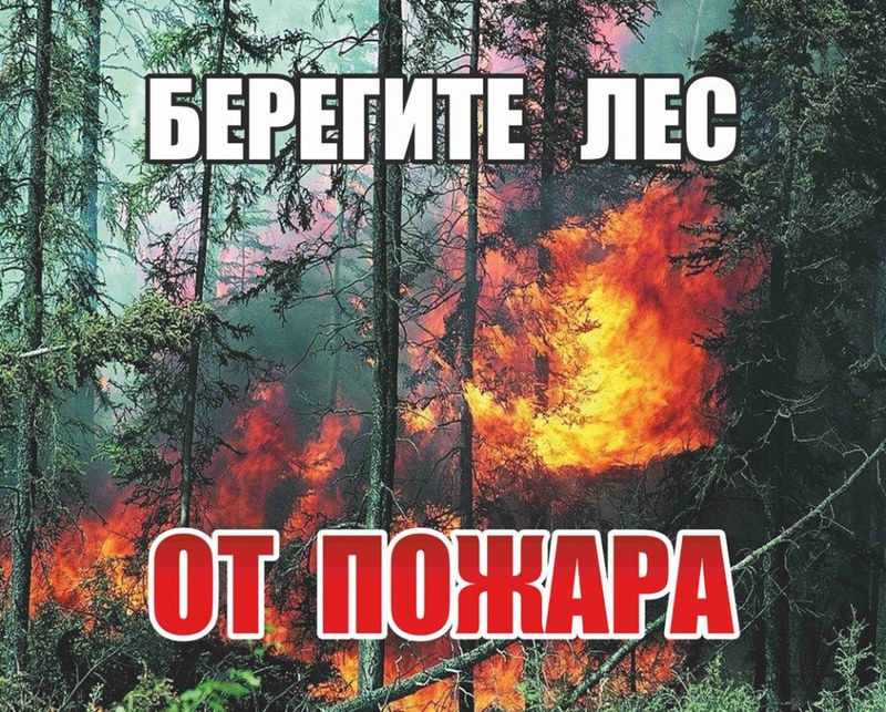 Губернатор Саратовской области Роман Бусаргин подписал постановление о введении в лесах региона особого противопожарного режима  с 18 апреля  до 31 октября.
