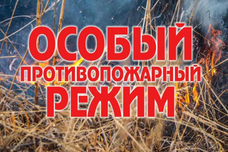 В регионе введён особый противопожарный режим. В регионе введён особый противопожарный режим.