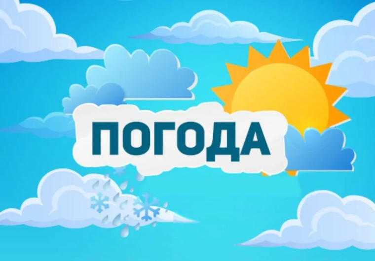 ОПЕРАТИВНЫЙ ЕЖЕДНЕВНЫЙ ПРОГНОЗ НА 8 ИЮНЯ. ОПЕРАТИВНЫЙ ЕЖЕДНЕВНЫЙ ПРОГНОЗ НА 8 ИЮНЯ.