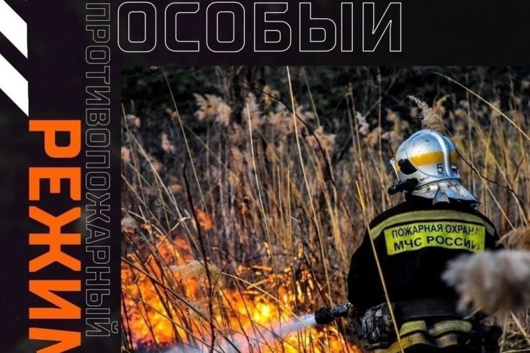 Особый противопожарный режим: разведение костров, сжигание мусора запрещено. Особый противопожарный режим: разведение костров, сжигание мусора запрещено.
