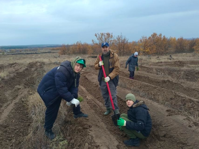 В Лысогорском районе высадили 4000 сеянцев сосны. В Лысогорском районе высадили 4000 сеянцев сосны.
